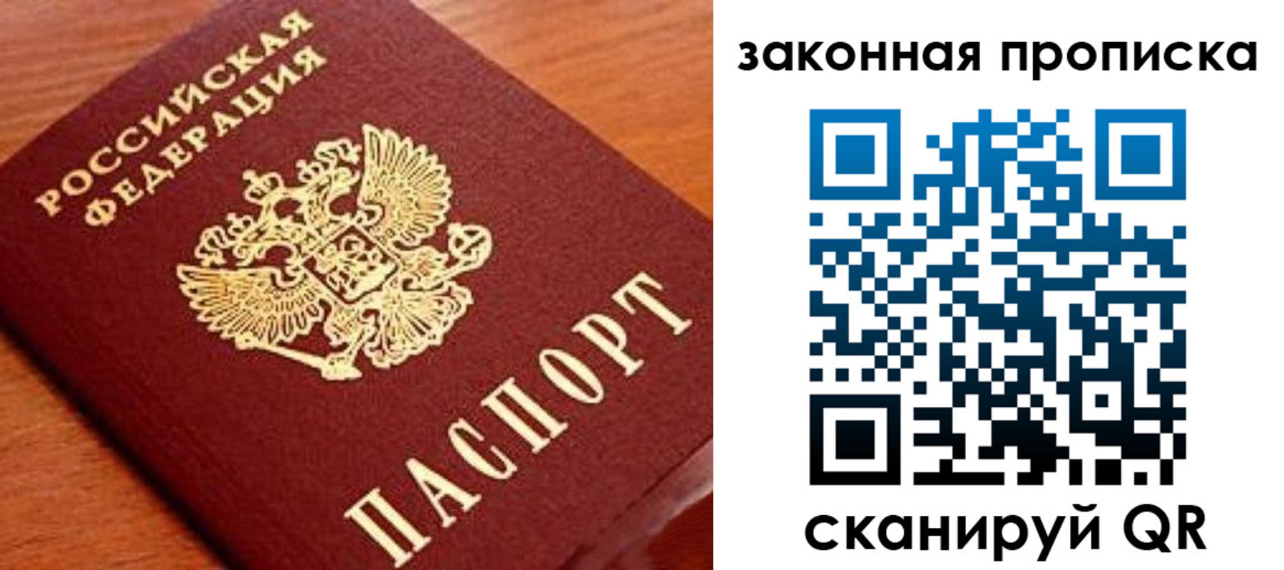 прописка в Сольцах